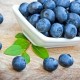 Perfumer's Apprentice Flavors Blueberry (Wild)