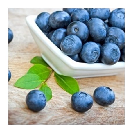 Perfumer's Apprentice Flavors Blueberry (Wild)